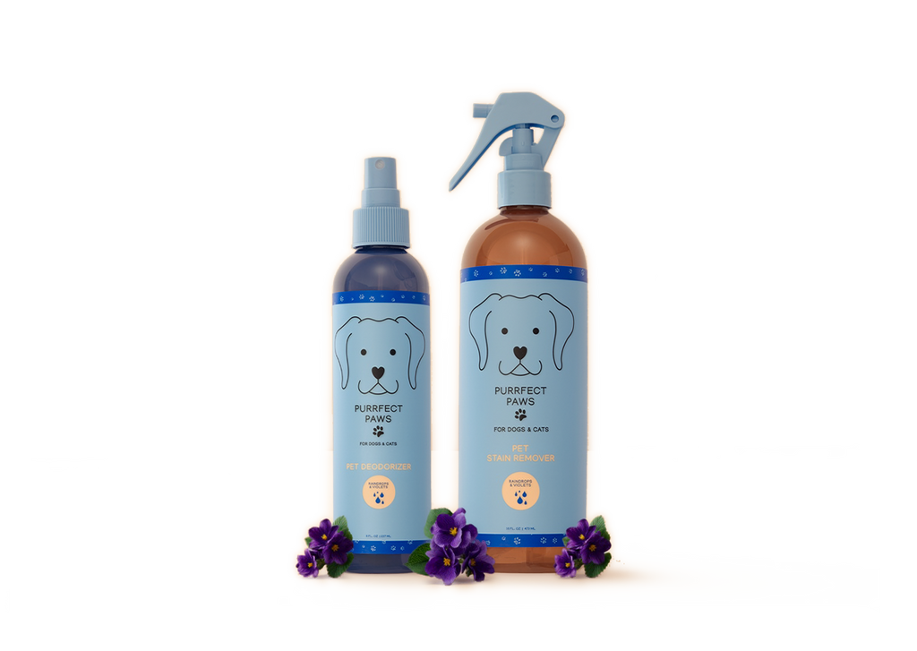 Lifestyle image showing the product in use