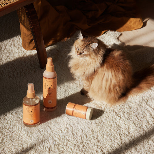 Sweet Honey Almond Quick Care Set