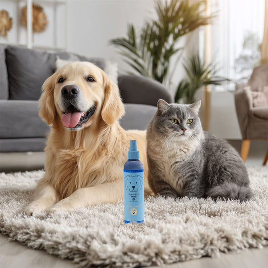 Raindrops & Violets Odor Eliminator