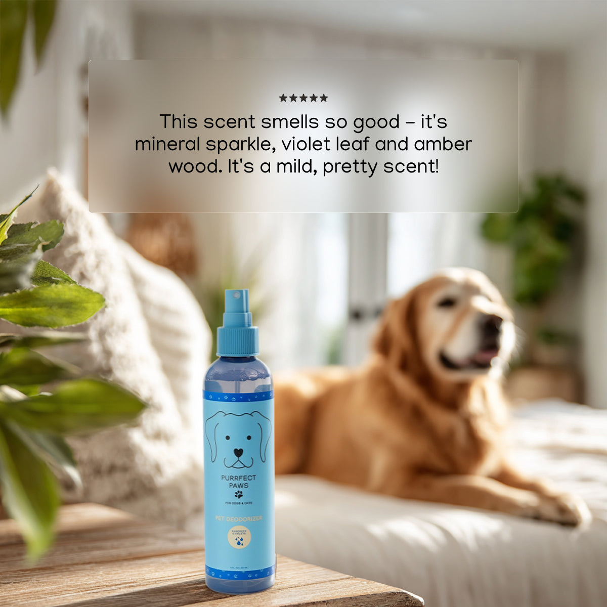 Raindrops & Violets Odor Eliminator