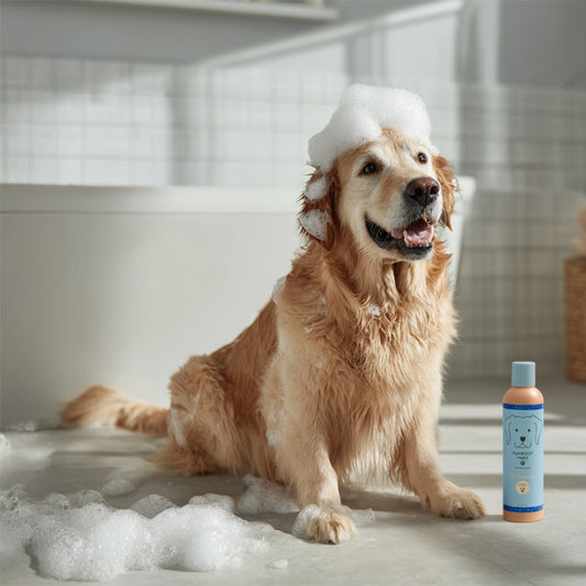 Raindrops & Violets Shampoo