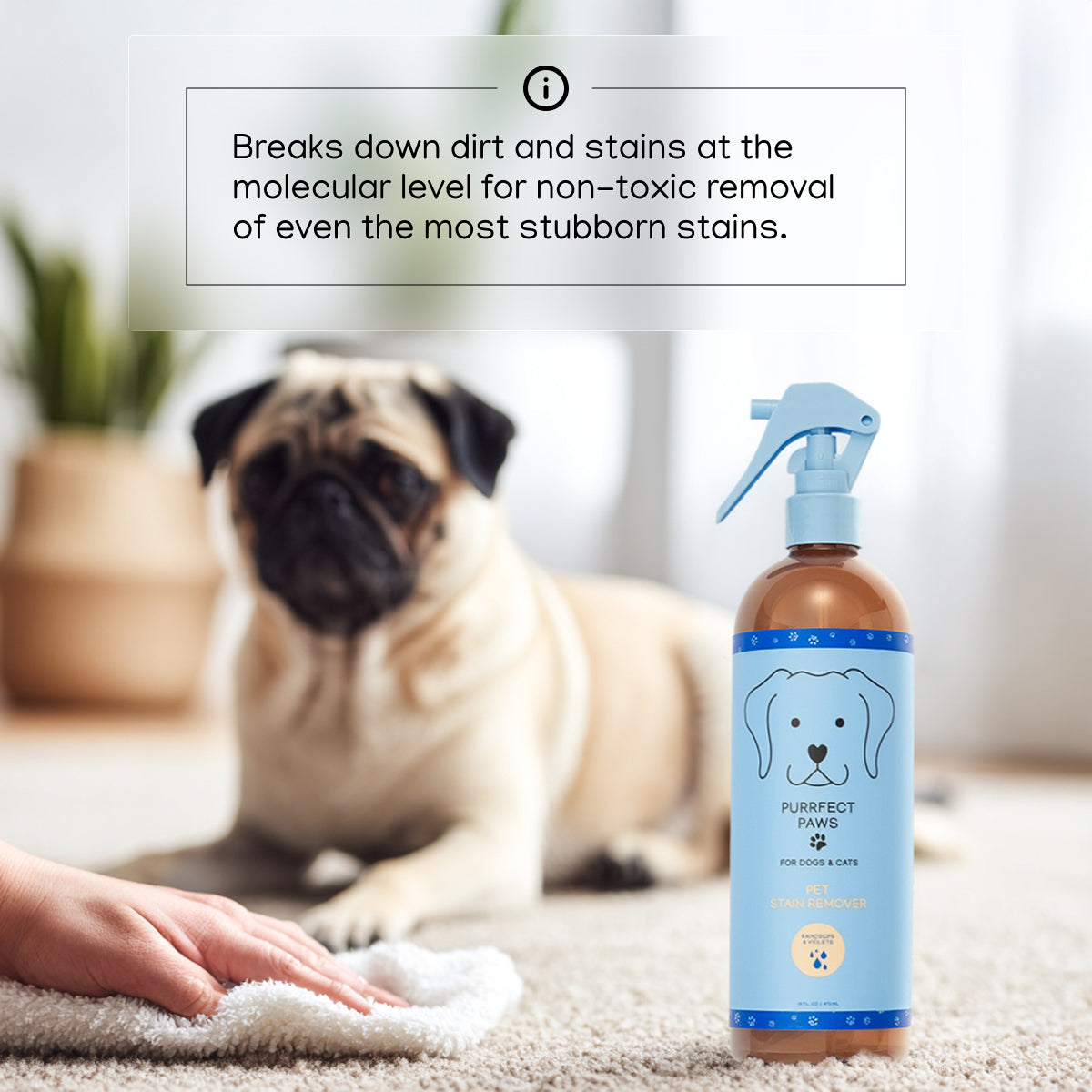 Raindrops & Violets Stain Remover