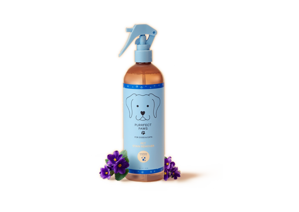 Lifestyle image showing the product in use