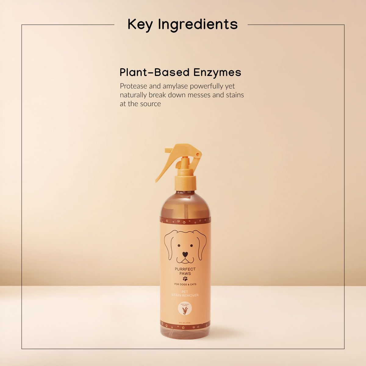 Sweet Honey Almond Stain Remover