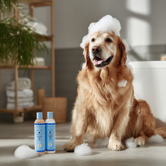 Raindrops & Violets Shampoo & Conditioner Set