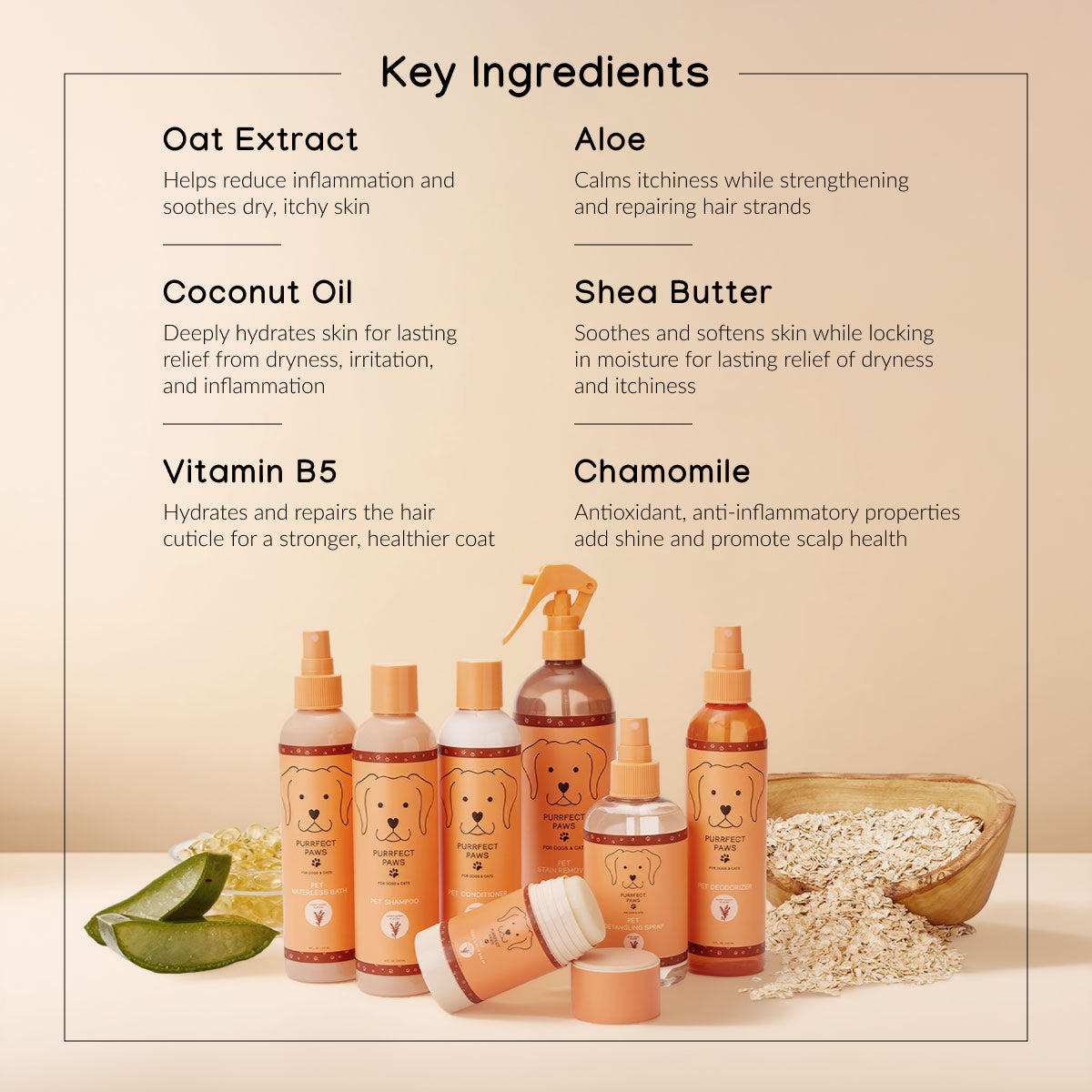 Sweet Honey Almond Starter Kit