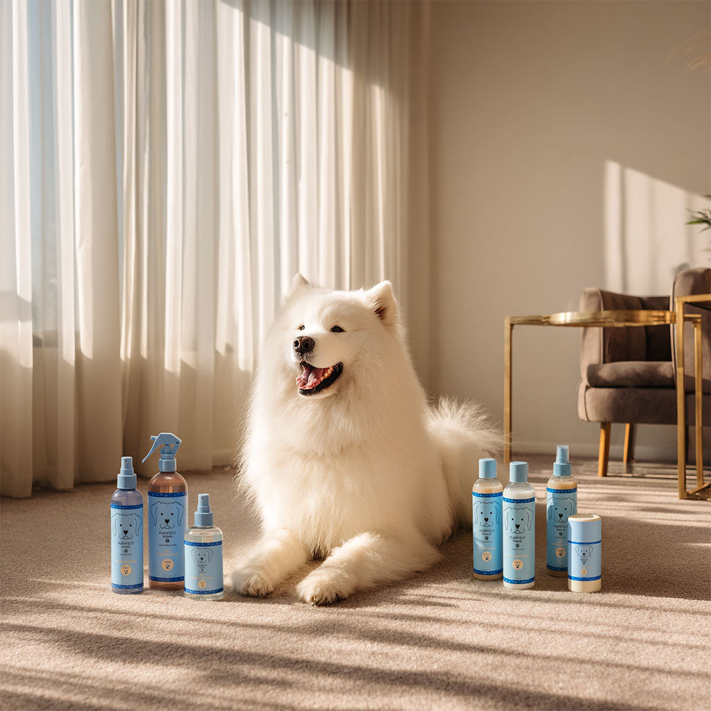 Raindrops & Violets Bundles | Scented Pet Care and Home Care Sets